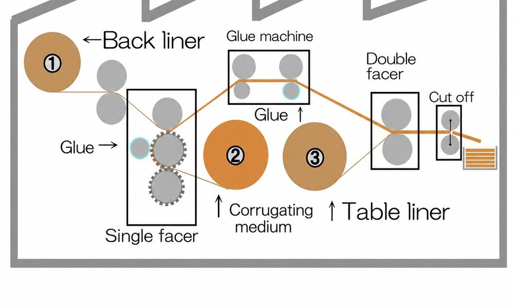 Double facer working process from gluing to cooling