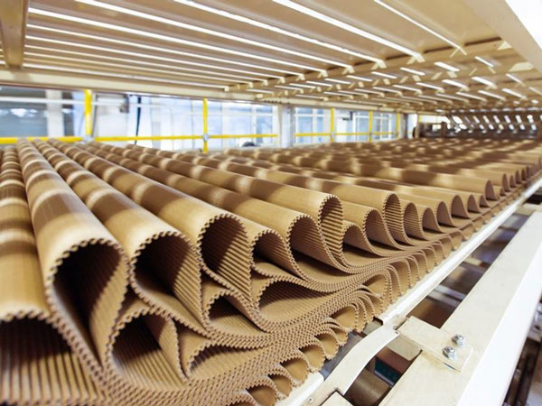 Single-face corrugated board stored in loops on an overhead bridge.